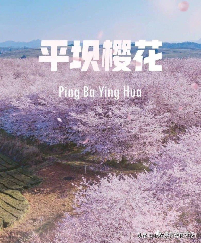 圆周率舞曲